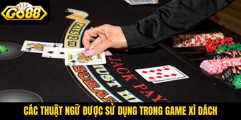 Các thuật ngữ được sử dụng trong game Xì Dách