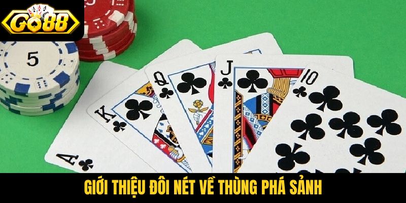 Giới thiệu đôi nét về thùng phá sảnh