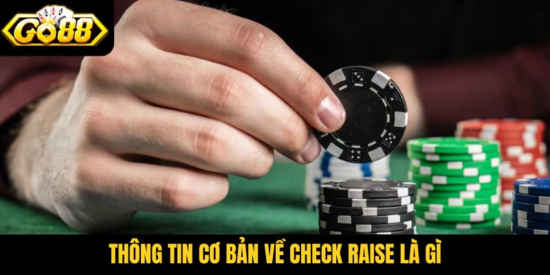 Thông tin cơ bản về Check Raise là gì